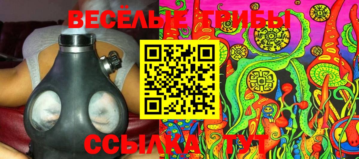 Чайковский  Псилоцибиновые грибы MAGIC MUSHROOMS  Псилоцибиновые грибы мухоморы  Вход с VPN 